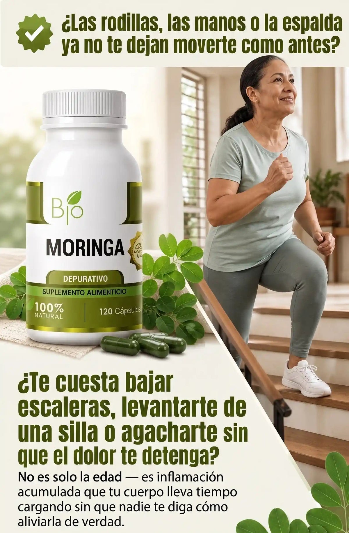 Moringa - Dolor articular / inflamación