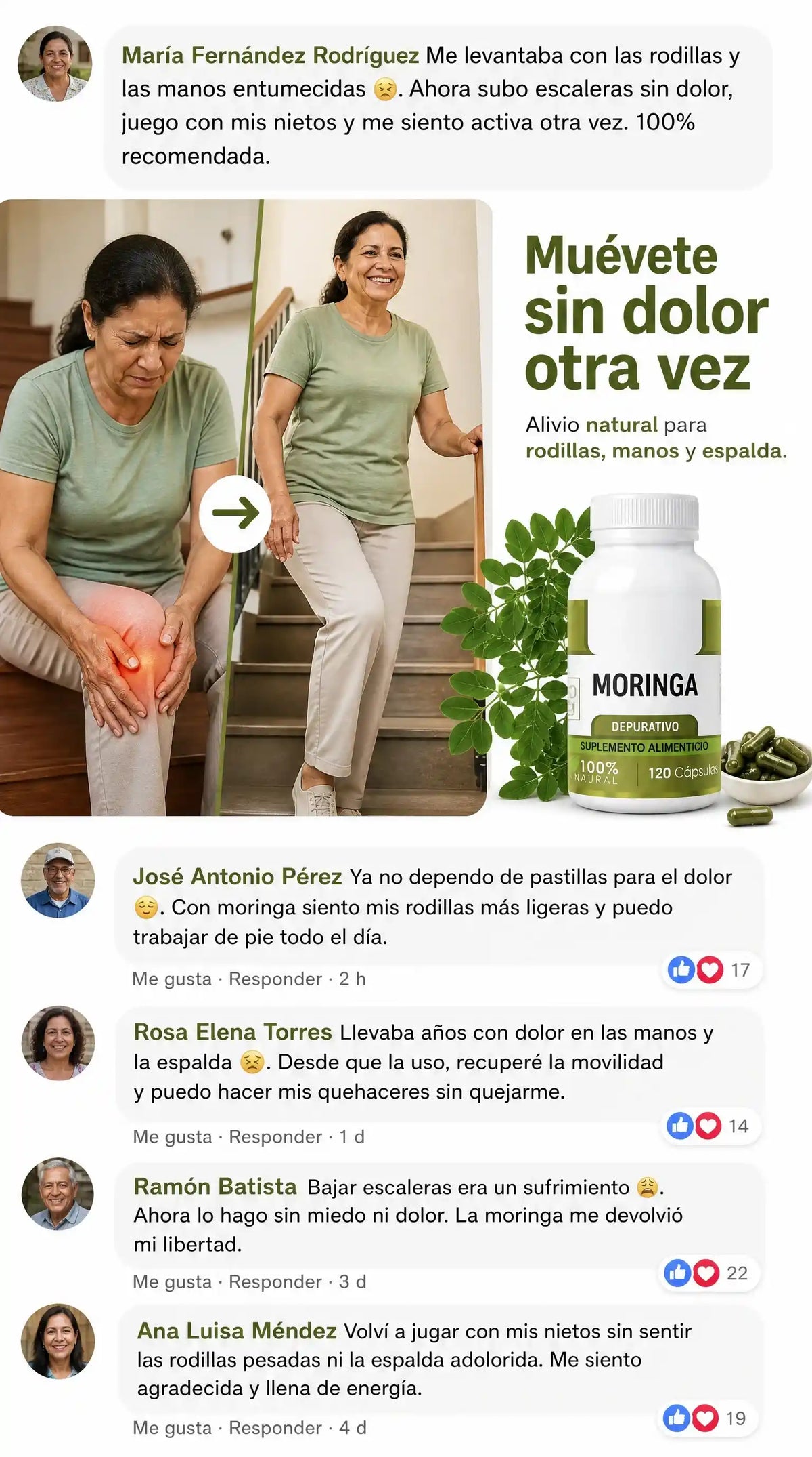 Moringa - Dolor articular / inflamación